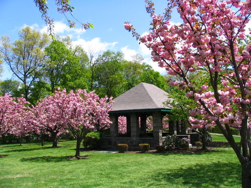 Park in Madison NJ